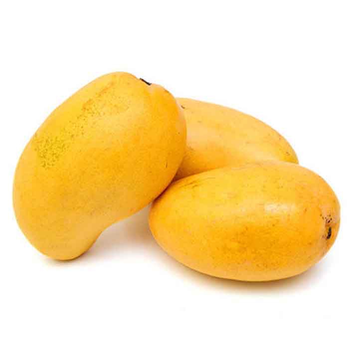 Imagen Principal del Producto