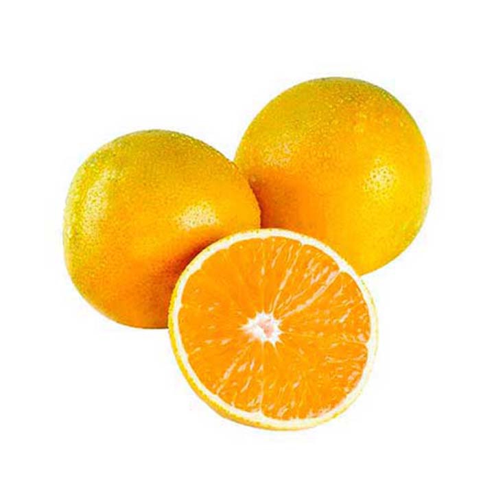 Imagen Principal del Producto