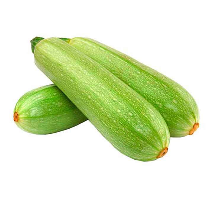 Imagen Principal del Producto