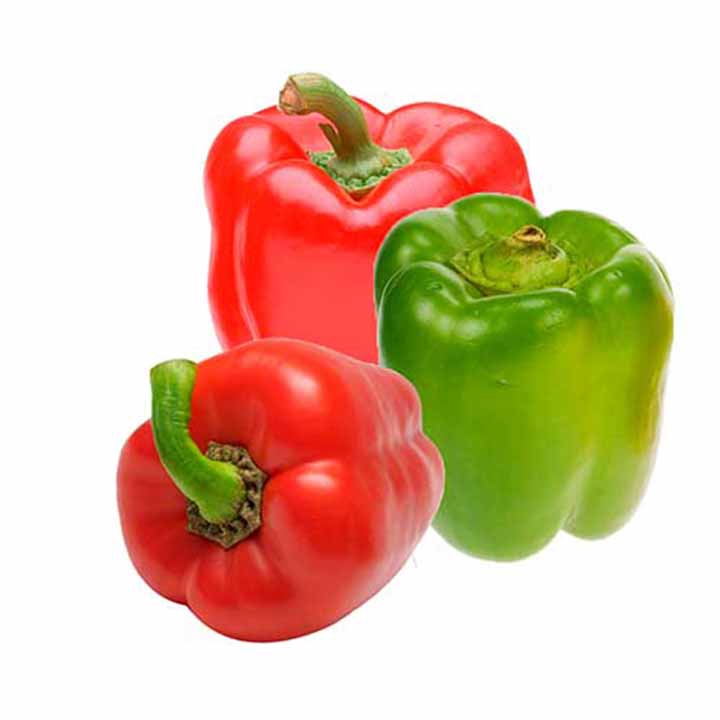 Imagen Principal del Producto