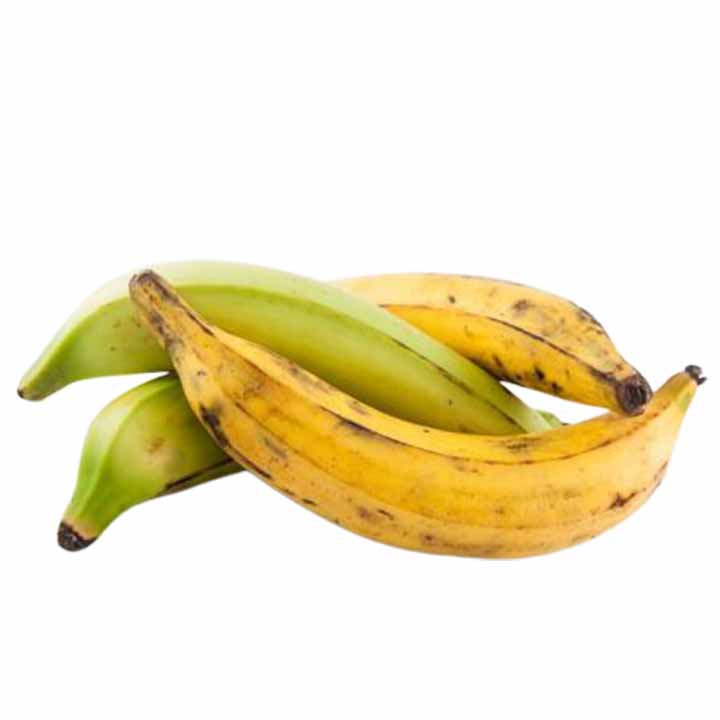 Imagen Principal del Producto