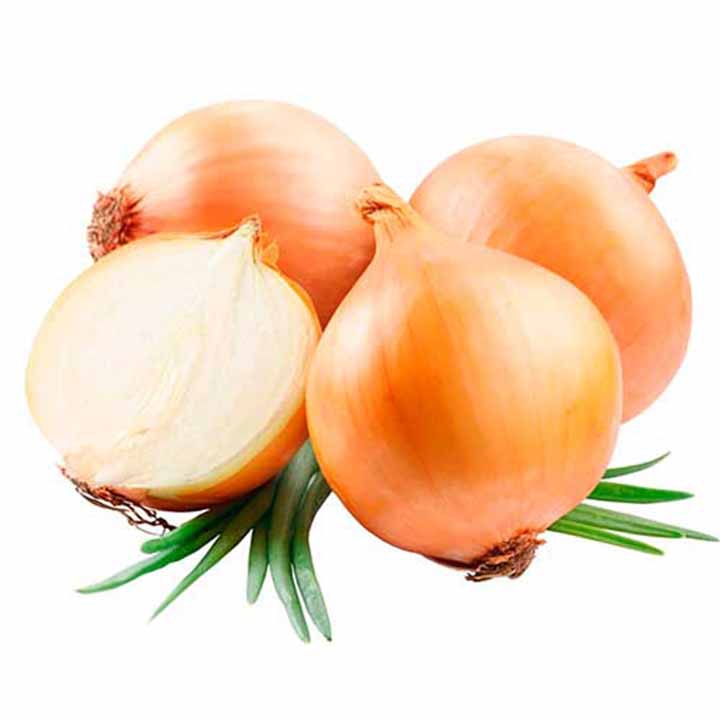 Imagen Principal del Producto
