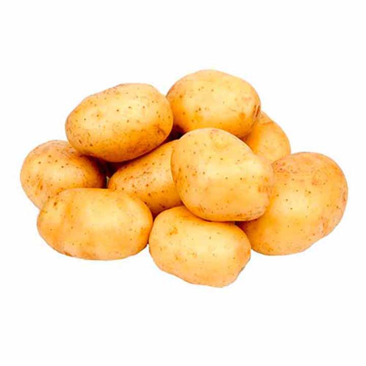 Imagen Principal del Producto